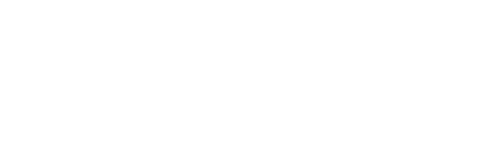 Wolf Aceleradora logo